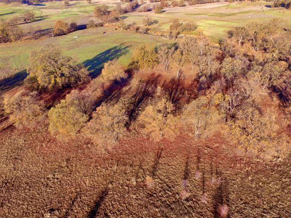 Bella Vista Development Opportunity: 60 acres, Hwy 299E, Redding, CA 96003